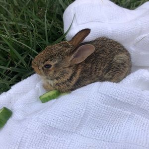 Meet your Posher, Kylie